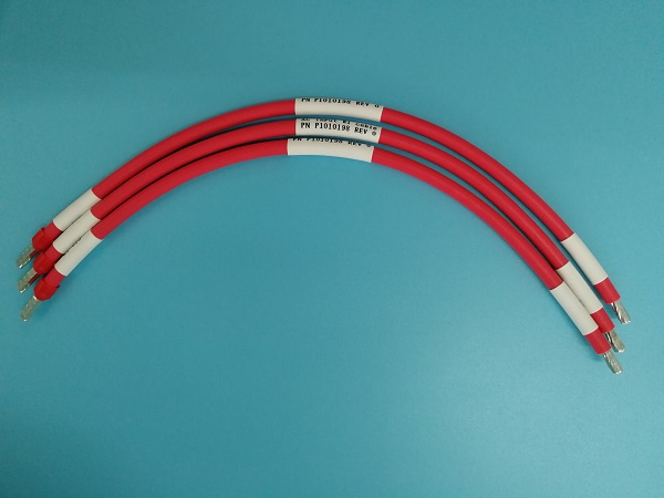 AC input  W1 cable